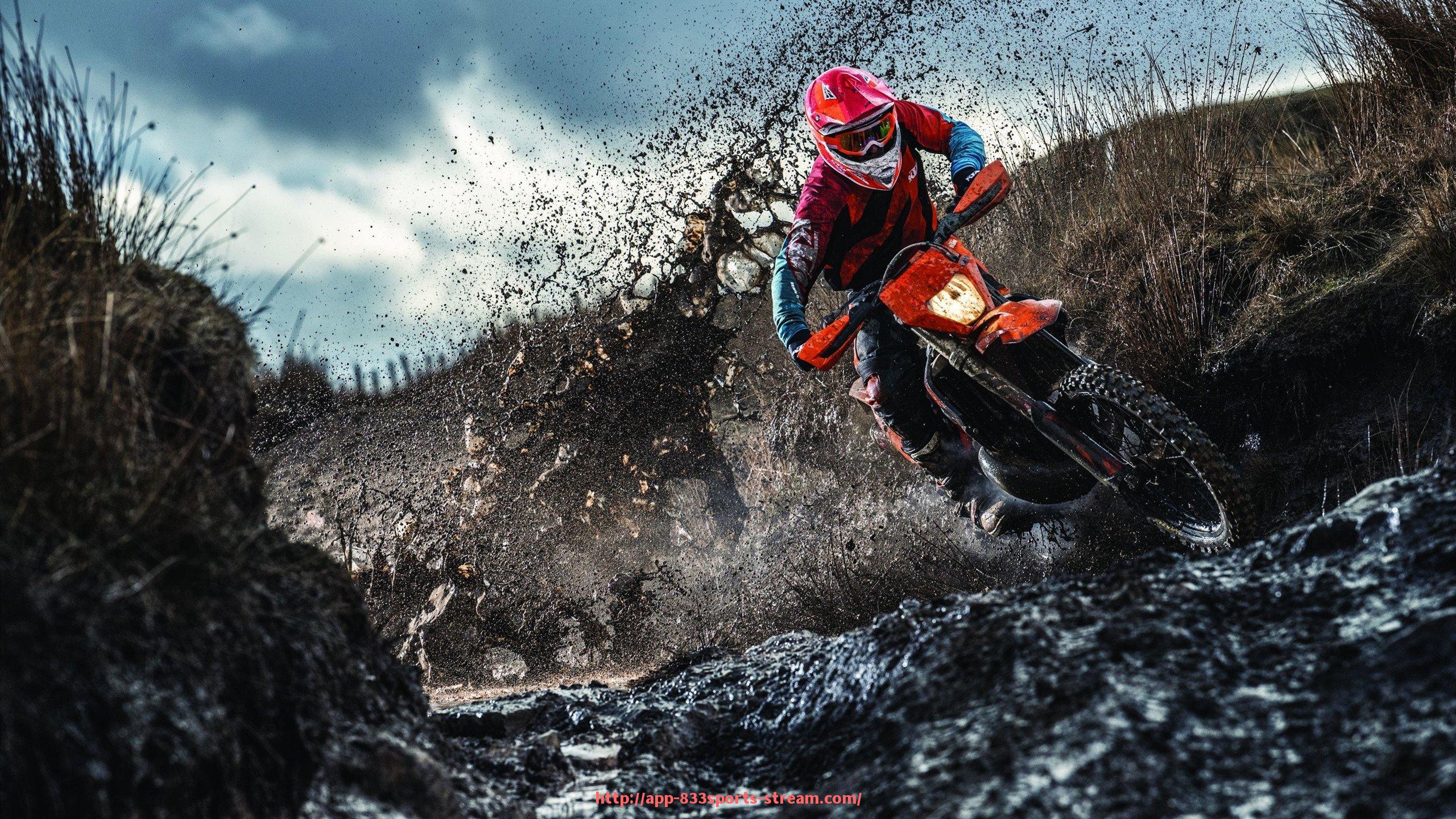 833体育直播-健身房各类器材对应的训练功能详解